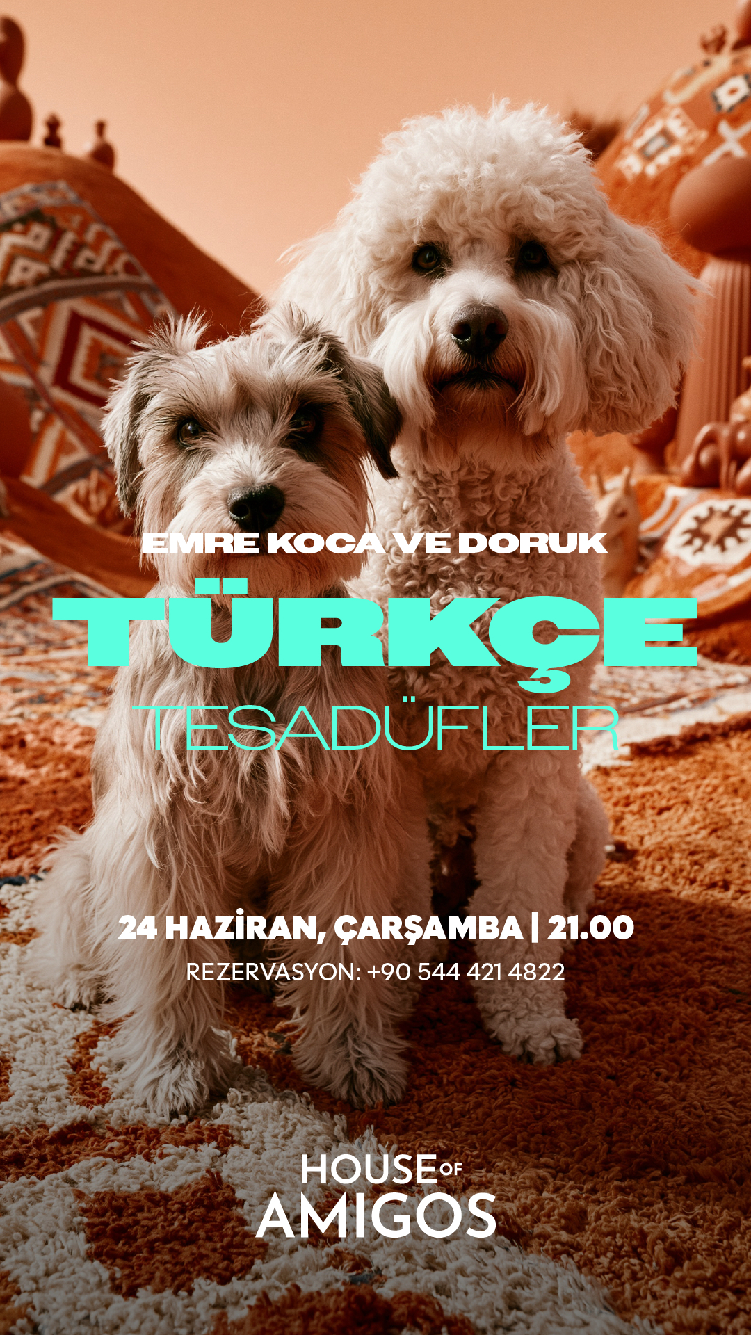 Emre Koca ve Doruk ile Türkçe Tesadüfler